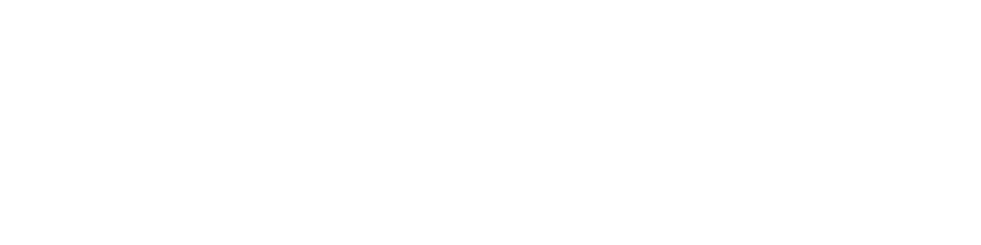DORNBOLLHOEFER Logo white transparent